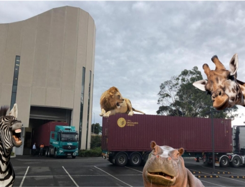 Event Logistics in Australia: Touring Madagascar